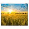 Экран LUMIEN Eco Picture LEP-100101 150х150 см, Matte White восьмигранный корпус, возможность потолочн./настенного крепления, уровень в комплекте 1:1