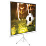 Экран Brauberg проекционный на треноге , матовый, 1:1, "TRIPOD", 236729