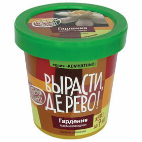 Наборы для творчества