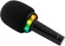 Микрофон HYUNDAI беспроводной H-MIC100 черный