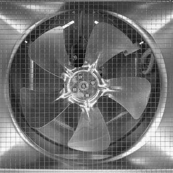 2395529-4