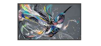 Профессиональный дисплей Philips_LFD Информационный дисплей 65" 16:9 3840x2160