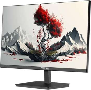 Монитор RDW COMPUTERS 23.8" RDW2401K черный IPS 4ms 16:9 HDMI M/M матовая HAS Piv 1000:1 300cd 178гр/178гр 1920x1080 100Hz VGA DP FHD 1.7кг