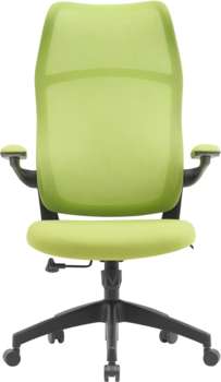 Кресло CACTUS CS-MC505-GN салатовый сиденье салатовый сетка/ткань крестов. пластик пластик черный