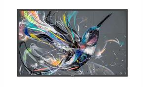 Профессиональные дисплеи