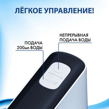 2462889-13