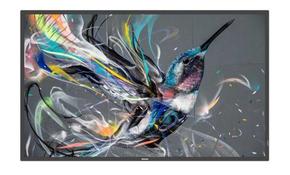 Профессиональные дисплеи