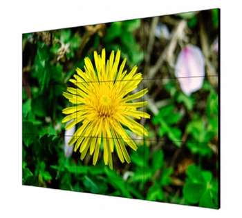 Монитор LCD-экран DS-D2055LE-G HIKVISION