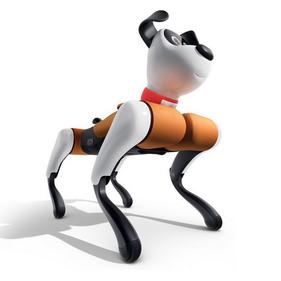 Спорт, отдых, хобби